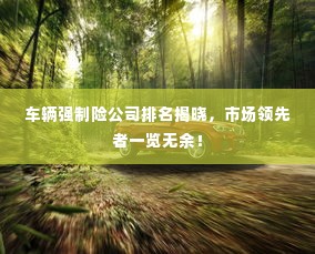 车辆强制险公司排名揭晓,市场领先者一览无余!