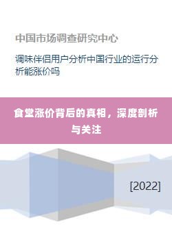 食堂涨价背后的真相,深度剖析与关注