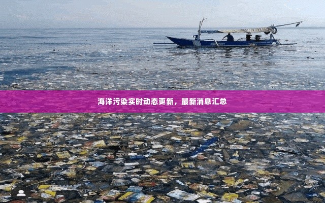 海洋污染实时动态更新,最新消息汇总