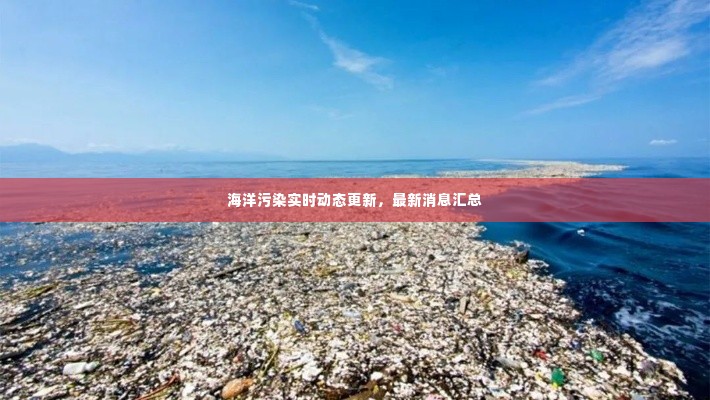海洋污染实时动态更新,最新消息汇总