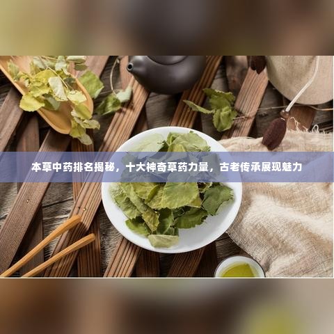 本草中药排名揭秘,十大神奇草药力量,古老传承展现魅力