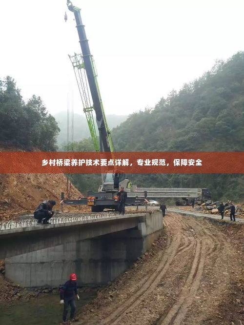 乡村桥梁养护技术要点详解，专业规范，保障安全