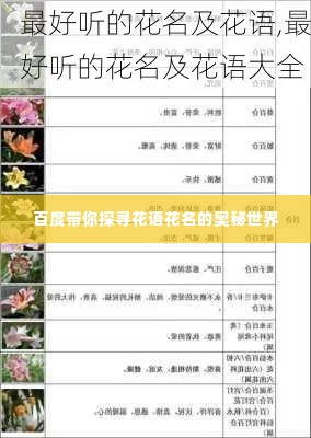 百度带你探寻花语花名的奥秘世界