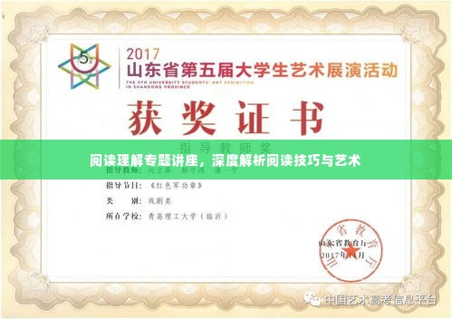 阅读理解专题讲座,深度解析阅读技巧与艺术