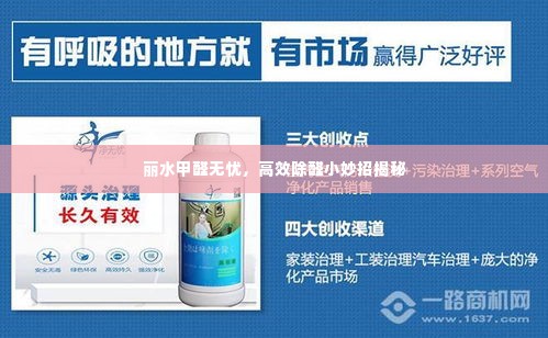 丽水甲醛无忧,高效除醛小妙招揭秘