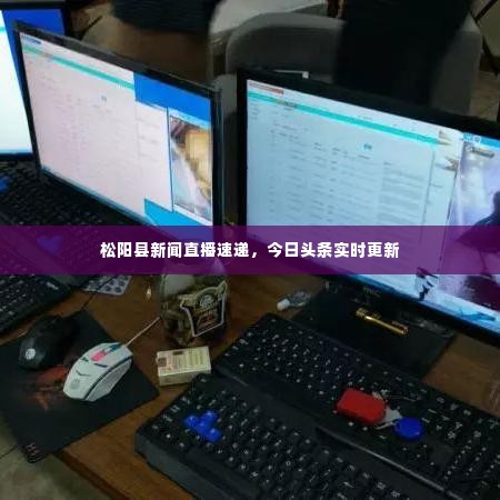 松阳县新闻直播速递,今日头条实时更新