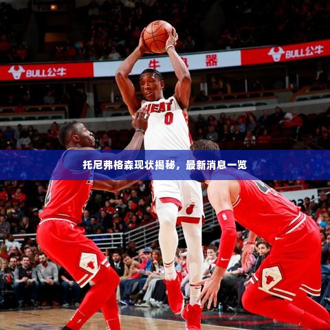 托尼弗格森现状揭秘，最新消息一览