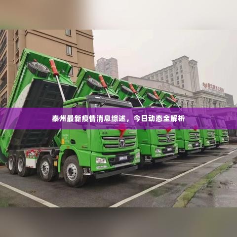 泰州最新疫情消息综述，今日动态全解析