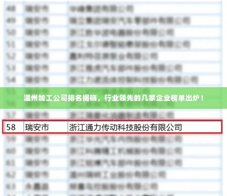 温州加工公司排名揭晓，行业领先的几家企业榜单出炉！