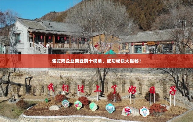骆驼湾企业荣登前十榜单,成功秘诀大揭秘!