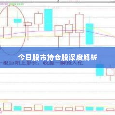 今日股市持仓股深度解析