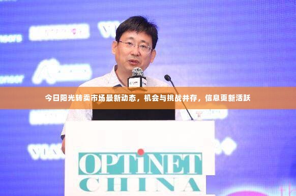 今日阳光转卖市场最新动态,机会与挑战并存,信息更新活跃
