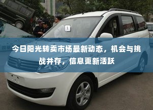 今日阳光转卖市场最新动态，机会与挑战并存，信息更新活跃