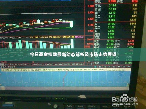 今日基金指数最新动态解析及市场走势展望