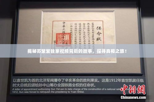 揭秘苏紫紫独家视频背后的故事,探寻真相之旅!