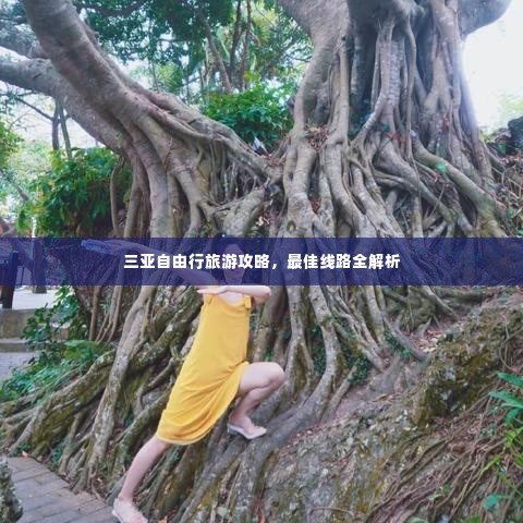 三亚自由行旅游攻略,最佳线路全解析