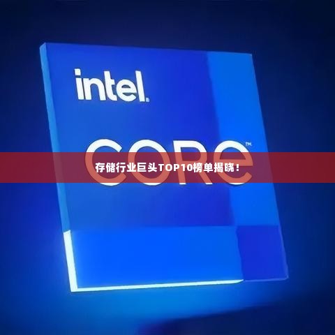 存储行业巨头TOP10榜单揭晓!