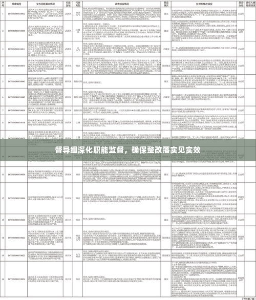 督导组深化职能监督，确保整改落实见实效