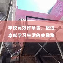 学校高效作息表,塑造卓越学习生活的关键秘籍