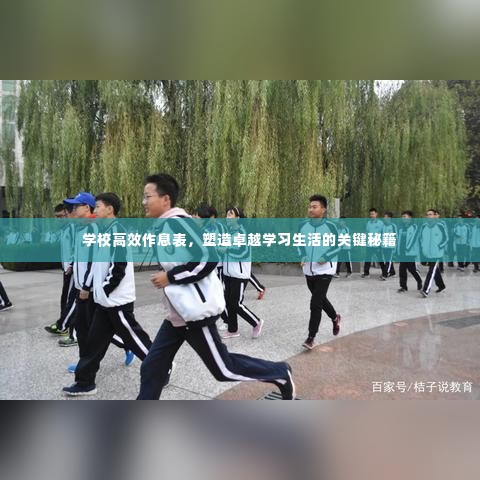 学校高效作息表,塑造卓越学习生活的关键秘籍