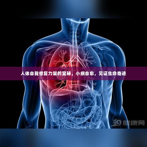 人体自我修复力量的奥秘,小病自愈,见证生命奇迹
