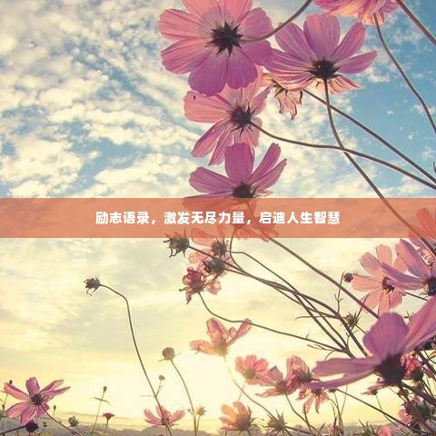 励志语录,激发无尽力量,启迪人生智慧