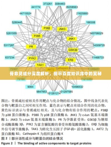 骨愈灵成分深度解析,揭示百度知识库中的奥秘