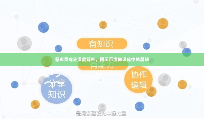 骨愈灵成分深度解析,揭示百度知识库中的奥秘