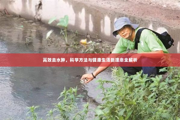高效去水肿，科学方法与健康生活新理念全解析