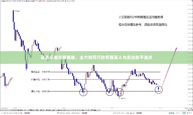 动态平衡交易策略,主力如何巧妙把握买入与卖出的平衡点