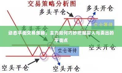 动态平衡交易策略,主力如何巧妙把握买入与卖出的平衡点
