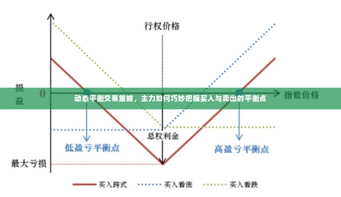动态平衡交易策略,主力如何巧妙把握买入与卖出的平衡点