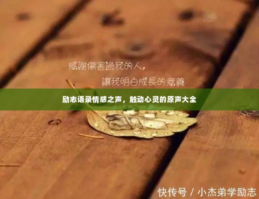 励志语录情感之声,触动心灵的原声大全