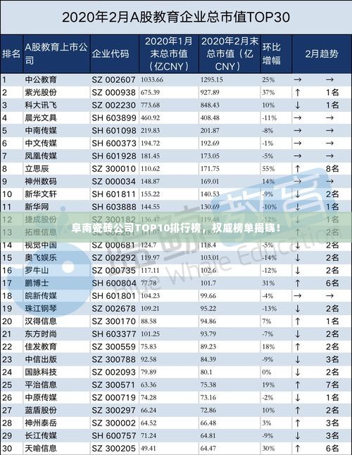 阜南瓷砖公司TOP10排行榜，权威榜单揭晓！