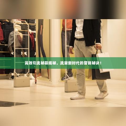 高效引流秘籍揭秘,流量新时代的营销秘诀!