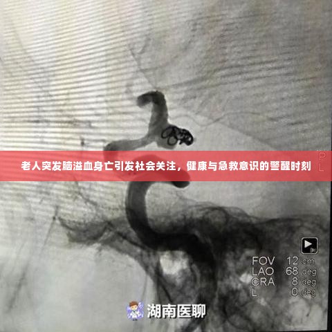 老人突发脑溢血身亡引发社会关注,健康与急救意识的警醒时刻