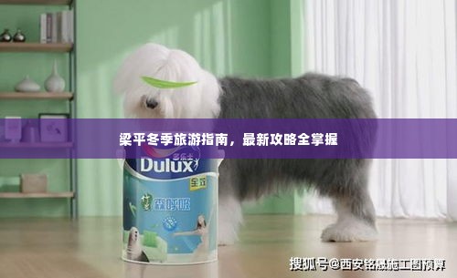 梁平冬季旅游指南，最新攻略全掌握