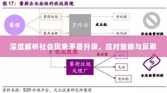 深度解析社会现象矛盾升级，应对策略与反思