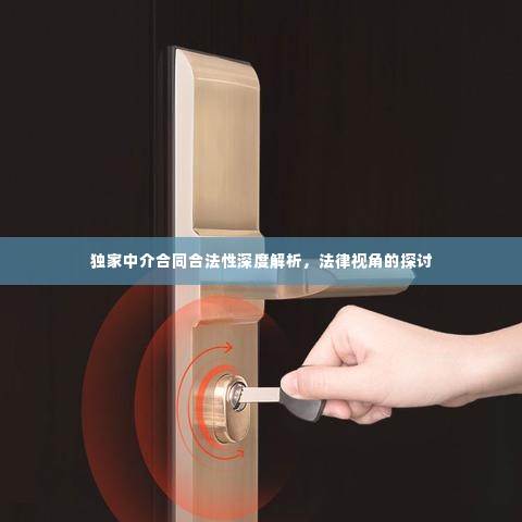 独家中介合同合法性深度解析，法律视角的探讨