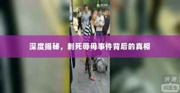 深度揭秘,刺死辱母事件背后的真相