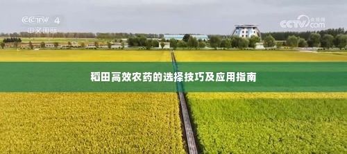 稻田高效农药的选择技巧及应用指南