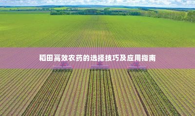 稻田高效农药的选择技巧及应用指南
