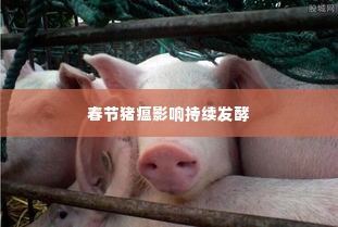 春节猪瘟影响持续发酵