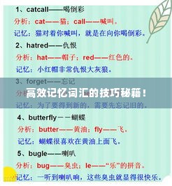 高效记忆词汇的技巧秘籍！