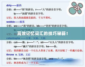 高效记忆词汇的技巧秘籍!