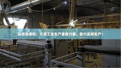 高效灌装料，引领工业生产革新力量，助力高效生产！