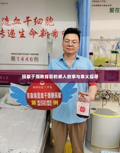 捐献干细胞背后的感人故事与意义探寻
