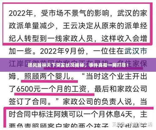 团风翰林天下突发状况揭秘，事件真相一网打尽！