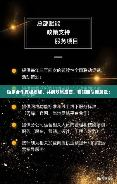 独家合作模板揭秘,共创双赢局面,引领团队新篇章!
