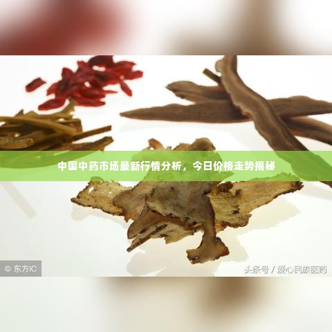 中国中药市场最新行情分析,今日价格走势揭秘